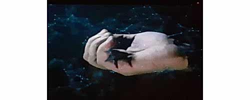 Hologram-Screen